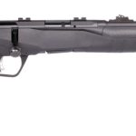 SAVAGE B22 F .22 LR