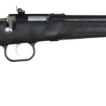 Crickett Crickett .22 Lr 16.1 Barrel 1 Round Black