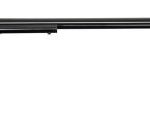 Heritage Arms Rough Rider .22 Lr 16 Barrel 6 Rounds American Flag/black