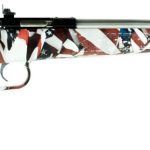 Crickett Crickett .22 Lr 16.1 Barrel 1 Round American Flag