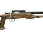 Keystone Sporting Arms Chipmunk .22 Lr 16 Barrel  Blued/camo Laminate
