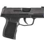 Sig Sauer P365-380 .380 Acp 3.1 Barrel 10 Rounds Black