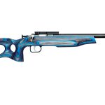 Crickett Extreme .22 Lr 16.125 Barrel 1 Round Blue And Black