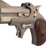 Bond Arms Rawhide .38 Special/.357 Magnum 2.5 Barrel 2 Rounds Matte Stainless