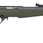 Rossi Rb22 Compact .22 Lr 16.5 Barrel 10 Rounds Od Green