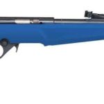 Rossi Rb22 Compact .22 Lr 16.5 Barrel 10 Rounds Blue And Black