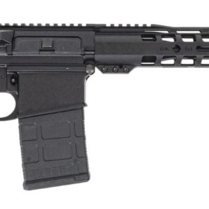 PALMETTO STATE ARMORY PA-10 GEN3 SEMI AUTO