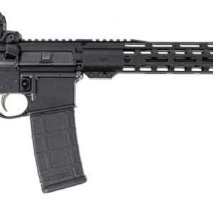 PALMETTO STATE ARMORY PA-15 EPT SEMI AUTO