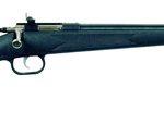 Keystone Sporting Arms/crickett 230 .22 Lr 16.125 Barrel  Blue
