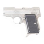 AMT BACK UP .380 ACP  SEMI AUTO HANDGUNS