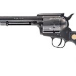 Chiappa Firearms Saa 22-10 .22 Lr