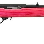 RUGER 43760 .22 LR/.22 WMR  SEMI AUTO RIFLES
