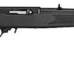 Ruger 10/22 Carbine W/ Lasermax .22 Lr 18.5 Barrel 10 Rounds