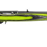 Ruger 10/22 Carbine .22 Lr 18.5 Barrel 10 Rounds