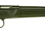 Keystone Sporting Arms Crickett Synthetic Single Shot .22 Wmr 16.1 Barrel 1 Round Blued