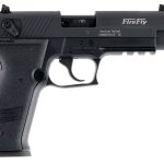American Tactical Imports Gsg Firefly Tb Black .22 Lr 4.9 Barrel 10 Rounds Black
