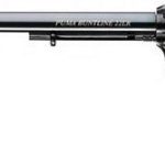 Chiappa 1873 Buntline .22 Lr 12 Barrel 6 Rounds