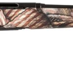 Savage Axis Ii .308 Win 22 Barrel 4 Rounds American Flag