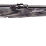 Savage A22 .22 Lr 22 Barrel 10 Rounds Brown