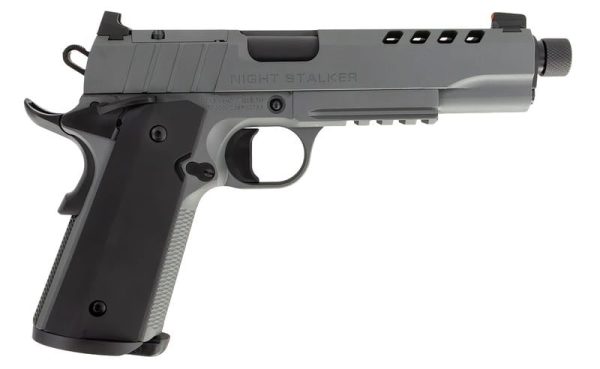 Tisas Night Stalker SF Gray .45 ACP 5" Barrel 8-Rounds