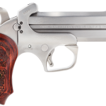 Bond Arms Snakeslayer IV Stainless .45 LC/.410 Gauge 4.25" Barrel 2-Rounds