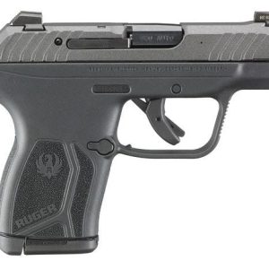 RUGER LCP MAX for sale Miami Shooters Supply