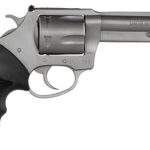 Charter Arms Pitbull .40 S&w 4.2 Barrel 5 Rounds Stainless