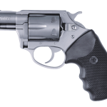 Charter Arms Pathfinder .22 Wmr 2 Barrel 6 Rounds Stainless
