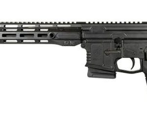 Warrior Systems WSM15 Black .300 AAC Blackout 16" Barrel 10-Rounds MA Compiant