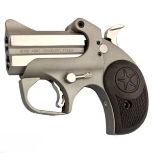 Bond Arms Roughneck Stainless .380 ACP 2.5" Barrel 2-Rounds Rubber Grips