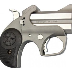 Bond Arms Roughneck Stainless .380 ACP 2.5" Barrel 2-Rounds