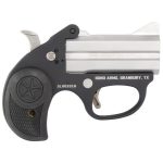 Bond Arms Stinger Stainless .380 ACP 3" Barrel 2-Rounds