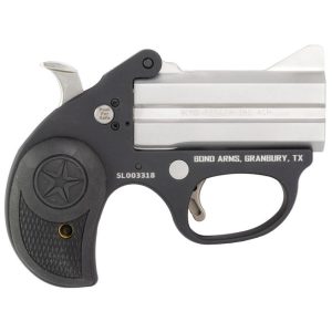 Bond Arms Stinger Stainless .380 ACP 3" Barrel 2-Rounds