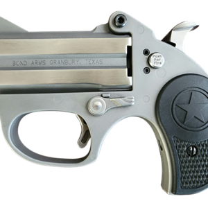 Bond Arms Stinger RS Stainless .380 ACP 2.5" Barrel 2-Rounds