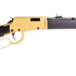 Rossi Rio Bravo Gold / Black .22 Long 18" Barrel 15-Rounds