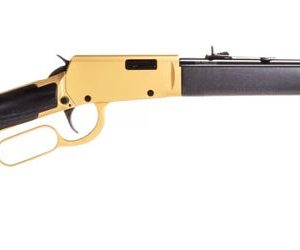 Rossi Rio Bravo Gold / Black .22 Long 18" Barrel 15-Rounds