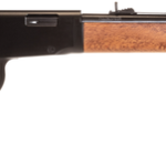 Braztech/Rossi Rio Bravo Beechwood .22 Win 20" Barrel 12-Rounds