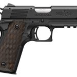 Browning 1911-22 A1 .22 LR 3.625" Barrel 10-Rounds w/ Pic Rail