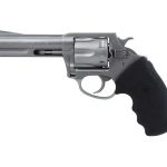Charter Arms Police Bulldog Revolver 38SPL 4-inch SS