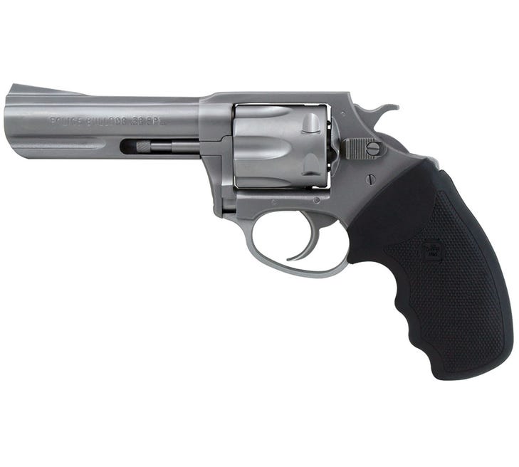 Charter Arms Police Bulldog Revolver 38SPL 4-inch SS
