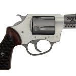 Charter Arms Coyote Stainless / Rosewood .380 ACP 2" Barrel 5-Rounds