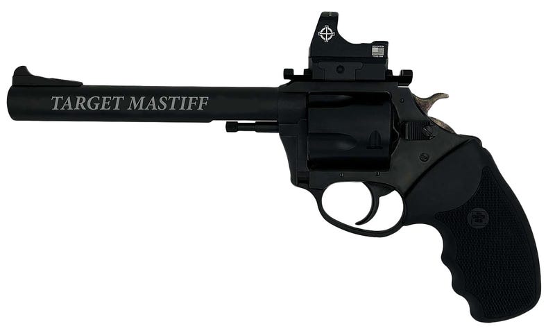 Charter Arms Target Mastiff  .357 Mag 6" Barrel 5-Rounds w/ Sightmark Red Dot