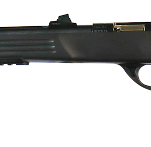 Crickett Adult Pistol .22 LR 10.5" Barrel 1-Round