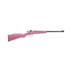Crickett .22LR Pink Synthetic with Blued Barrel