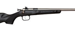 Crickett Youth Gen 2 Black/Stainless .22 LR 16.1" Barrel 1-Rounds