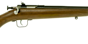 Crickett Youth Gen 2 Walnut .22 LR 16.1" Barrel 1-Rounds