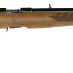 Ruger American Rimfire Wood Stock .22 Lr 22 Barrel 10 Rounds Blued