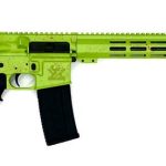 Great Lakes Firearms AR-15 Zombie Splatter .223 Wylde 16" Barrel 30-Rounds Nitride Barrel