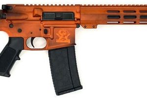 Great Lakes Firearms and Ammunition AR-15 BW Orange .223 Wylde 16" Barrel 30-Rounds
