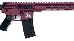 Great Lakes Firearms and Ammunition AR-15 Black Cherry .223 Wylde 16" Barrel 30-Rounds